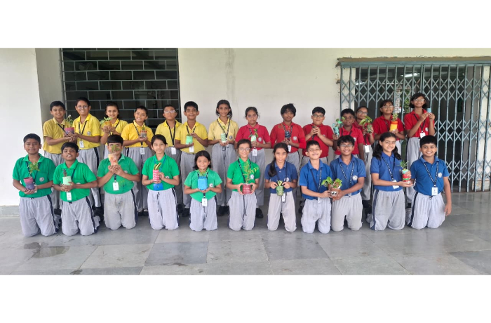 Plantation Drive 2