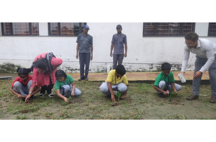 Plantation Drive 1 